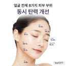 크림시즌