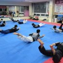 청시의지태권도 이미지