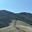 광명사슴농장 | 영남알프스 간월재 휴게소를 가는 가장 편한 방법, 택시비, 소요시간(간월산 정상과 배내봉으로 하산하기)