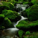 소백정원 이미지