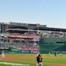 드림디씨(DC)마트 | [워싱턴디씨]내셔널스파크 야구 경기 나들이 MLB 직관 프리미엄 좌석 Terra Cub