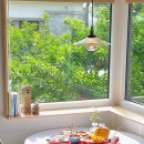 제주비(JEJU vie) 네이버블로그