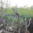 장비농장 이미지