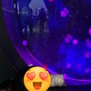 바다친구 | 🐠 부산 영도 국립해양박물관 방문 후기! 무료 수족관에서 바다 친구들과 만났어요! 🌊🐟