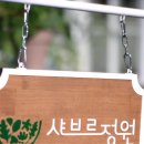 선생님들 준영님 샤브르 정원 전속 모델 되었나봐요! 이미지