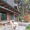 세옹이 가족 단상 이미지