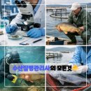 부경대학교 수산질병관리원 | 수산질병관리사 국가자격증 시험 응시 자격조건 총정리