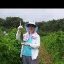 희경농장 네이버블로그
