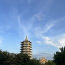 3박5일 패키지 : 4,5일차_리딩커피, 대성당, 한시장,영흥사(린응사), 한강유람선, 귀족살롱이발관(귀청소)
