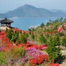 완도읍-4 이미지