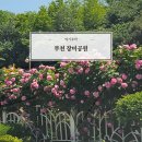 기타조형물 5 | 아이랑 부천 백만송이 장미축제 기간 위치 주차 오늘 실시간 개화 상태