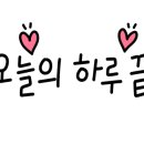 뽐이네 이미지