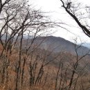 구룡산민박 이미지