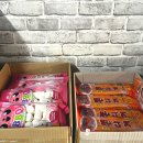 태안 몽산포 솔비치캠핑장 방문후기 및 추천