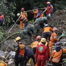 대원농장2 이미지