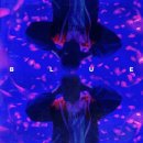 BLue(블루) 이미지
