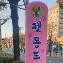몽드펫 이미지