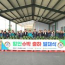 대산농산물유통