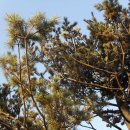 명동초등학교 이미지