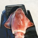 한치펜션 이미지