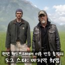 스펙타클(SPECTACLE) | 런던 월드프리미어 이후 반응 총정리 <도그 스타 마지막 희망> 프리뷰