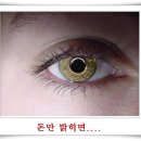 아무꺼나 이미지