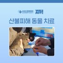 로얄동물메디컬센터 본원 | 로얄동물메디컬센터 강동, 영덕 산불피해 동물 치료 봉사활동