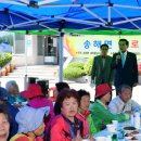 송해면-7 이미지