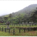 팔영산야영장 이미지