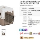 월드켄넬