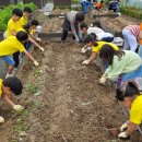 산서초교 이미지