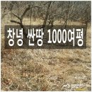 조아 태양광발전소 이미지