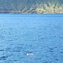 거북이세탁소 이미지