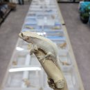 민식농장 이미지