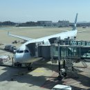 KOK 엔터테인먼트 | 인도 뭄바이 출장 케세이퍼시픽 항공 기내식 좌석 홍콩 환승 후기