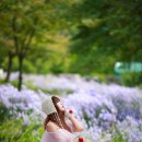 문희농장 이미지