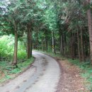 고성오광대 상설공연 이미지