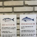 수눌음 제주도 3일차(한라산, 산방산 탄산온천, <b>수눌음</b>)