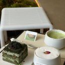 내면 | 홍대 이색카페 ‘내면의 발견’ 후기 🌿 폭포 흐르는 감성 카페