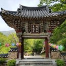 삼화온천