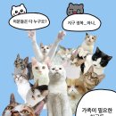 나비야 이미지