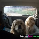 테오종합동물병원 이미지