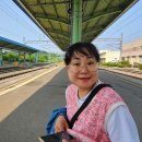 정배농장 이미지