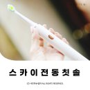 스카이전동칫솔 C타입충전 방수 음파전동칫솔 롯데인터넷면세 구매후기 ⓒ ᴍᴏᴀ sᴛᴏʀʏ
