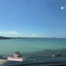 귀덕농장 이미지