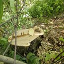 한백륜 묘역 이미지