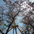 월미문화로 이미지