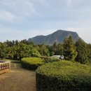 산방산의 품 이미지