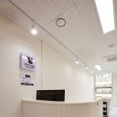 고양이 이발관 이미지