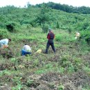 금촌IC입구 이미지